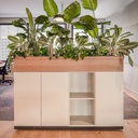 250207_JulietWong_Dream-49 groot-bewerkt.jpg