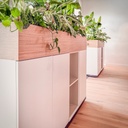 250207_JulietWong_Dream-51 groot-bewerkt.jpg