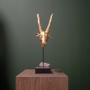 beeld van gouden stierenkop op eiken sokkel voor groene wand.jpg